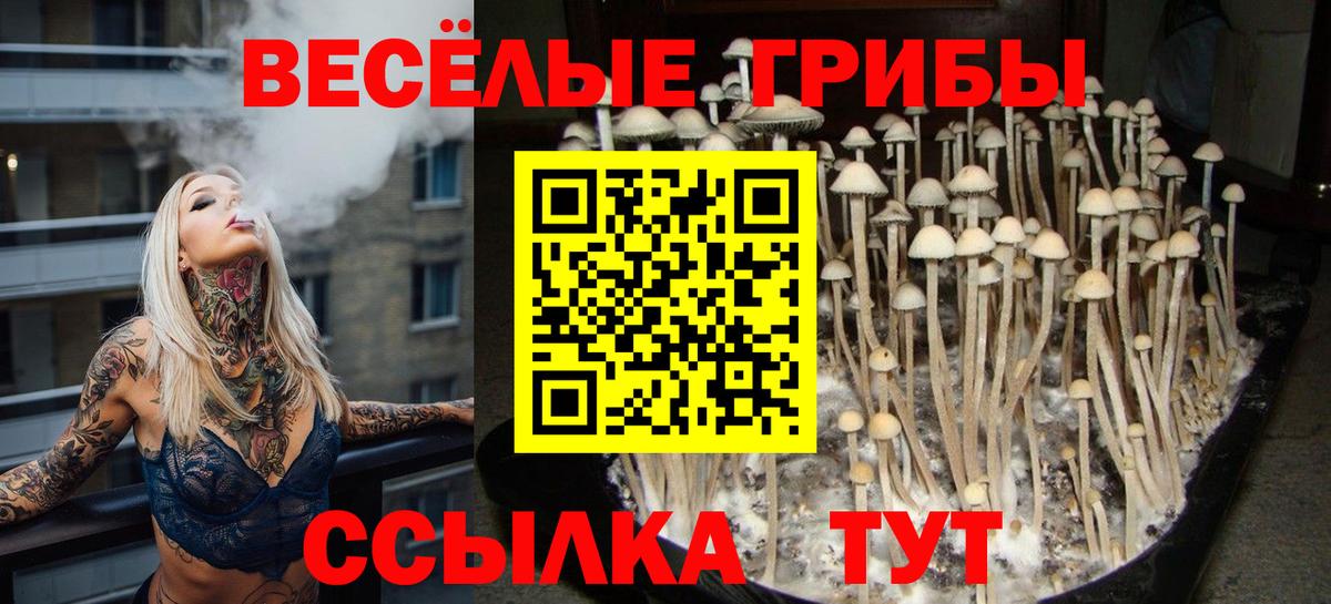 Псилоцибиновые грибы Cubensis  Вход с VPN  даркнет сайт  Псилоцибиновые грибы Magic Shrooms  Медногорск 