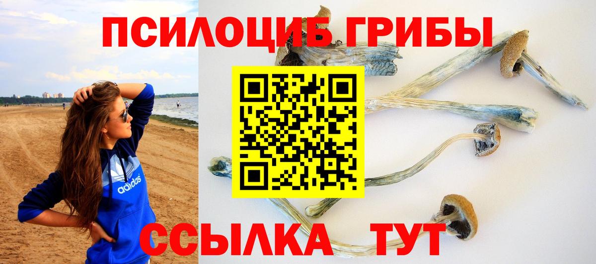 Псилоцибиновые грибы мухоморы Медногорск